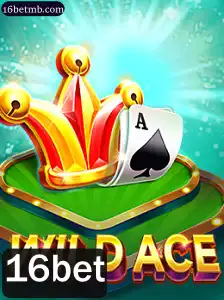 Explorando WildAce: O Guia Completo